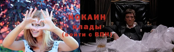 сатива Арсеньев