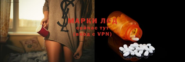 сатива Арсеньев