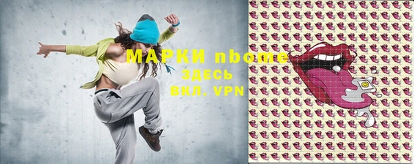 индика Армянск