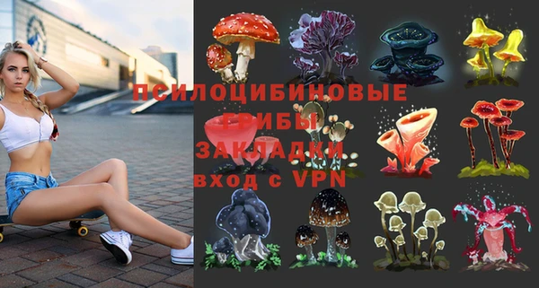 ALPHA-PVP Аркадак