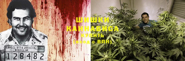 сатива Арсеньев