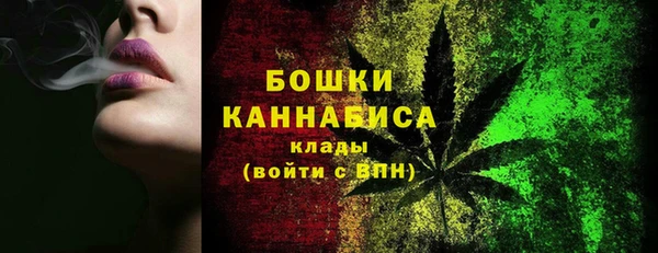 сатива Арсеньев