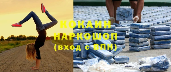 индика Армянск