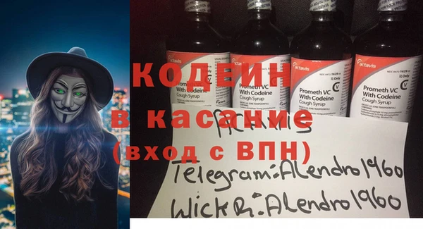 сатива Арсеньев