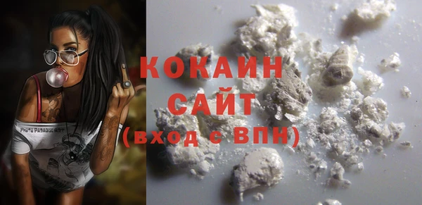 индика Армянск