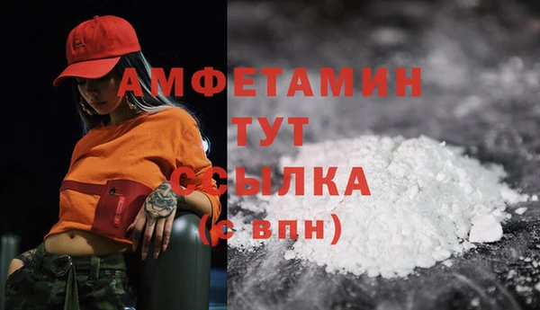 сатива Арсеньев