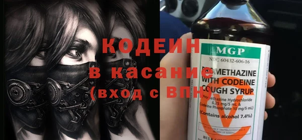 сатива Арсеньев