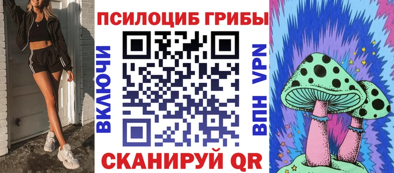 Купить  Гагарин  Галлюциногенные грибы MAGIC MUSHROOMS 